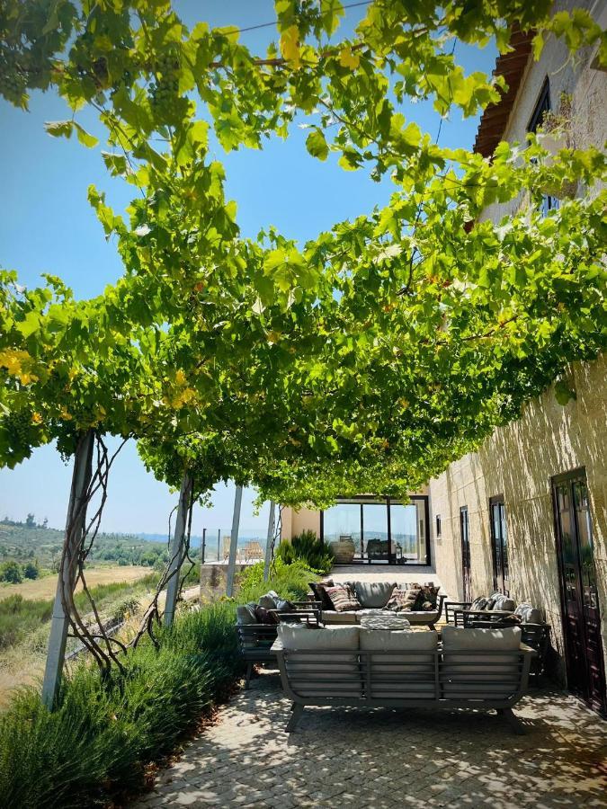 Quinta Da Lua Nova Bed and Breakfast Travancinha Eksteriør billede